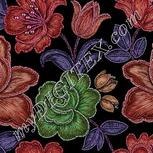 Colour:B