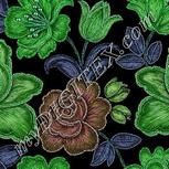 Colour:C