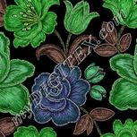 Colour:D