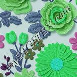 Colour:C
