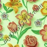 Colour:K