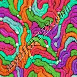 Colour:B