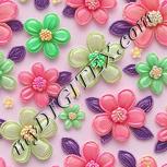 Colour:B