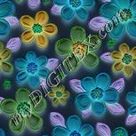 Colour:F