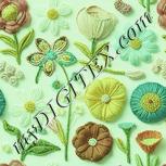 Colour:K