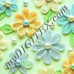Colour:K
