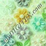 Colour:K