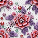 Colour:B