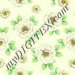 Colour:K