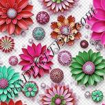 Colour:B