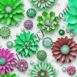 Colour:C