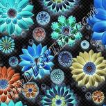 Colour:F