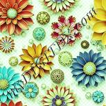 Colour:K