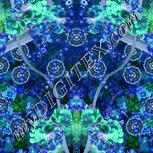 Colour:F