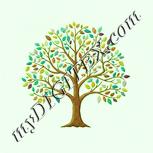Colour:K