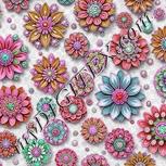 Colour:B