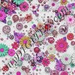 Colour:B