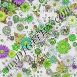 Colour:D