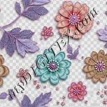 Colour:B
