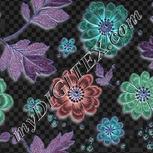 Colour:F