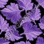 Colour:F