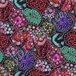 Colour:B