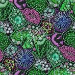 Colour:C