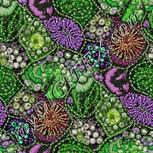 Colour:D