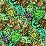 Colour:K