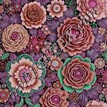 Colour:B