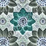 Colour:F