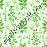Colour:K