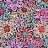 Colour:B
