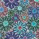 Colour:F