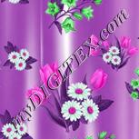 Colour:B