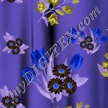 Colour:F