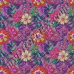 Colour:B