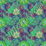 Colour:C
