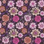 Colour:B