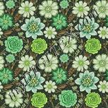 Colour:D