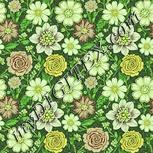 Colour:K
