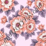 Colour:B
