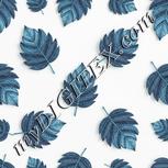 Colour:C