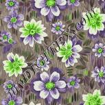Colour:D