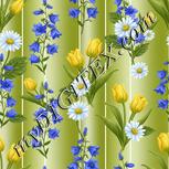 Colour:A