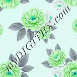 Colour:C