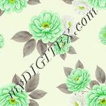 Colour:D