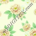 Colour:K