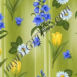 Colour:A