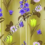 Colour:D